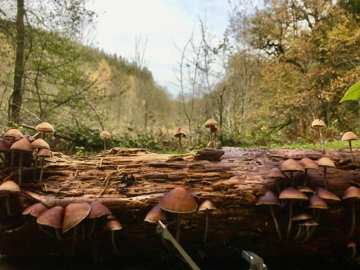 Alfie'S Home Malmedy Esterno foto